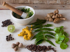 An array of Herbs and spices with a motar and pestle.